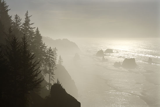 Oregon Coast Fog, Seastacks Samuel Boardman State Park, Oregon, Limited Edition Fine Art Photography by David Whitten