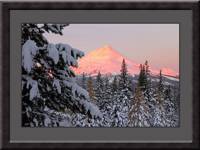 Framed Photograph, Fresh Snow on Mt. Hood, Oregon, Larch Trees, Limited Edition Fine Art Photography by David Whitten