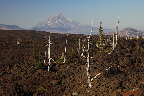  Mt. Jefferson Lava Flow McKenzie Pass Oregon