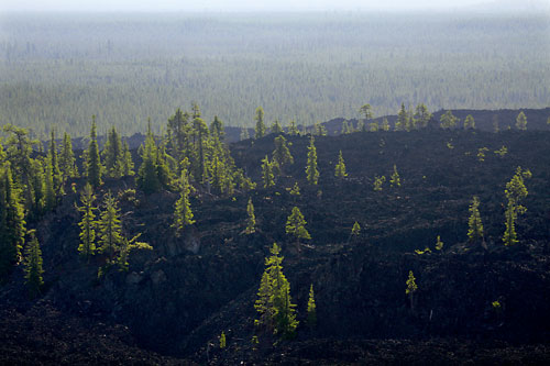 Lava rock, Cascade Mountains, Oregon