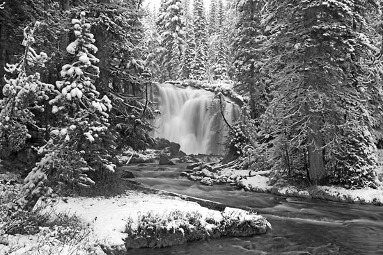 black and white Waterfall photograph Goose Creek Falls, Cascade Mountains, Oregon