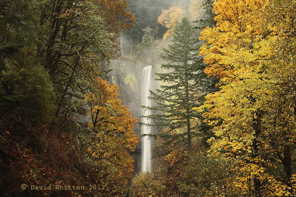 Latourelle Falls Columbia River Gorge Oregon