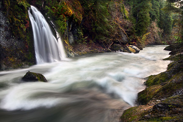 Salmon Creek near Oakridge Oregon