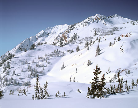 Superior Peak Alta Utah Cardiff Pass Ski Tracks Skiing Skiers