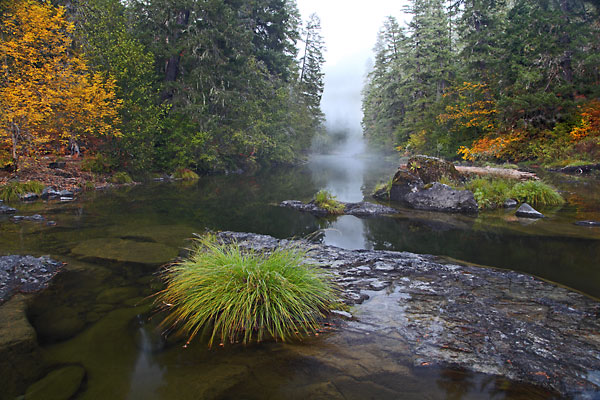 Steamboat Creek Umpqua National Forest Oregon
