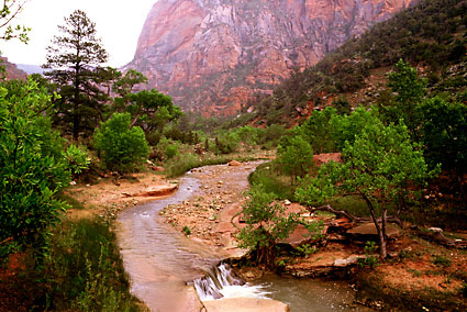 La Verkin Creek, Kolob Canyons, Zion National Park photo, Utah