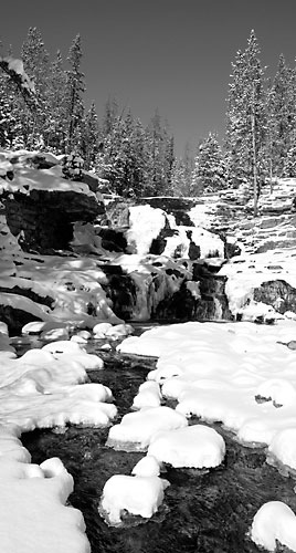 Upper Provo River Uinta Mountains photographer Utah David Whitten Photography