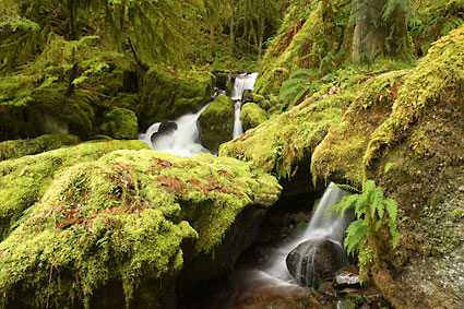 Waterfalls near Oakridge, Oregon