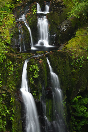  Upper Kentucky Falls Siuslaw National Forest Oregon