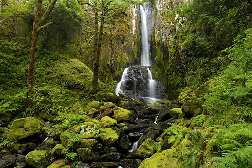 Kentucky Falls Siuslaw National Forest Oregon Photograph David Whitten Photography