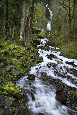Moss Stream Cascades Wahkeena Falls Columbia River Gorge Oregon