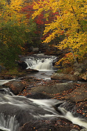 Kimpton Brook New Hampshire Autumn