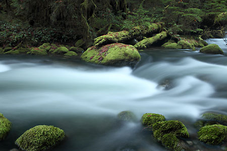 Wall Creek, Willamette National Forest, Oregon