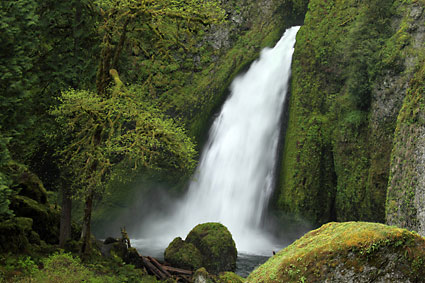 Tanner Creek Wahclella Falls Columbia River Gorge Waterfalls Oregon Columbia River Gorge National Recreation Area