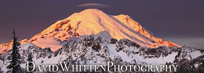 Mt. Rainier - Photographs by David Whitten, Limited Edition Prints