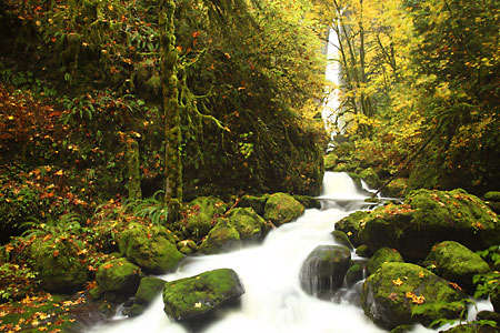 Elowah Falls Autumn Columbia River Gorge Oregon Waterfalls photography