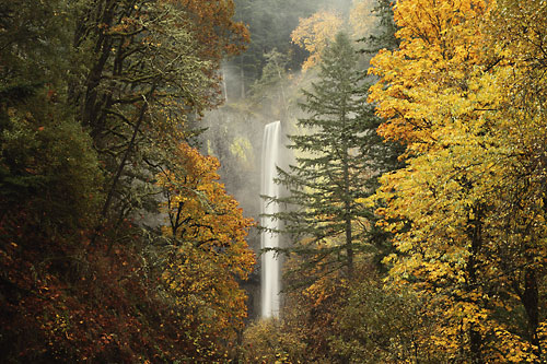 Latourell Falls Columbia River Gorge Waterfalls Oregon photo