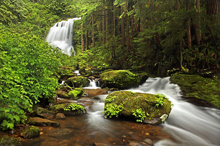 Upper Kentucky Falls Kentucky Creek Siuslaw National Forest Oregon pictures