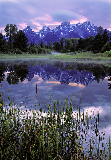 Beaver Pond Grand Teton National Park photography Wyoming - Mountains and Lake Photograph