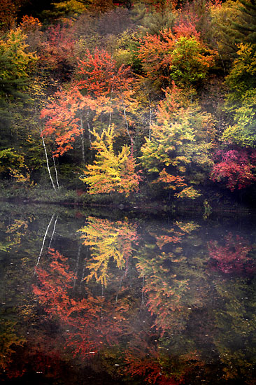 Turtle Pond Autumn Foliage Chapel Pond  Adirondacks Photographer David Whitten Photography