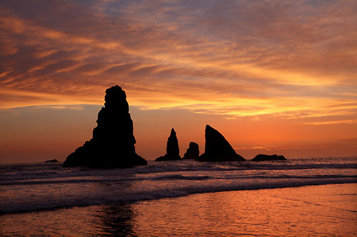 Oregon Coast photographer Samuel Boardman State Park - David Whitten Photography