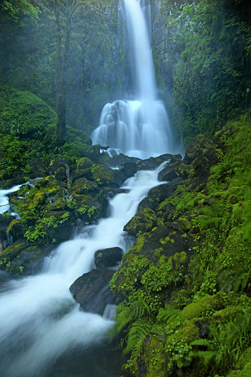 Kentucky Falls, Siuslaw National Forest Oregon Waterfalls