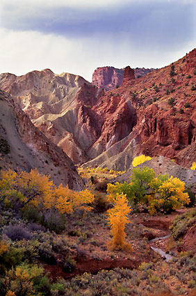 Onion Creek, Near Moab, Utah photographs