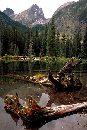 Vestal Creek, Grenadier Range, San Juan Mountains, Colorado