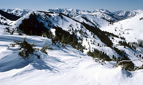 Park City Mountain Resort, Jupiter Bowl Scotts Bowl, Wasatch Mountains, Utah, skiing