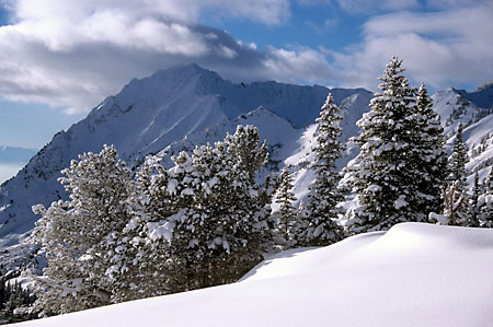 Wasatch Mountains photograph Utah Backcountry and Alta Superior Peak Grizzly Gulch