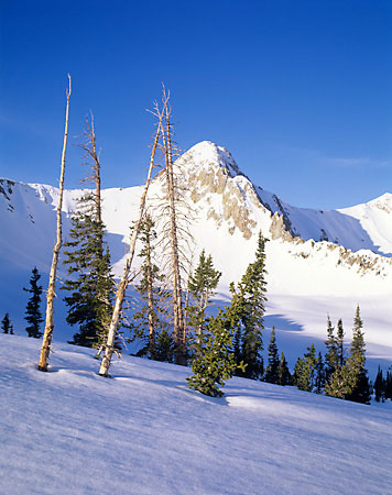 The Pfeifferhorn - Wasatch Mountains Utah - Backcountry skiing