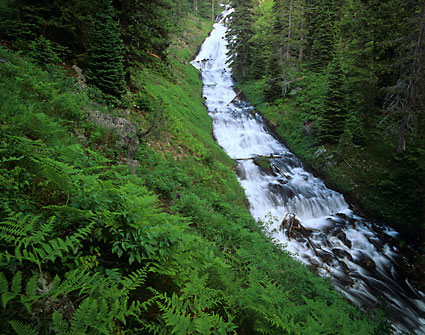 Silver Scarf Falls Yellowstone National Park, Wyoming photograph