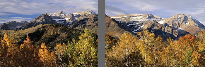  Mt. Timpanogos Autumn Foliage photograph Wasatch Mountains Utah photographer David Whitten