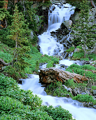 Vestal Creek, San Juan Mountains, Colorado