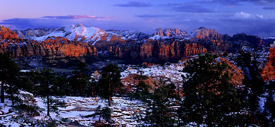 Zion National Park photo by Utah photographer David Whitten