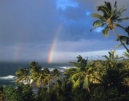 Rainbow Kauai Hawaii