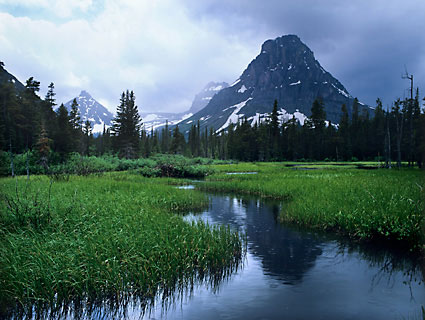 Sinopah Mountain Paradise Creek, Glacier National Park, Montana - photographer David Whitten davidwhittenphoto.com
