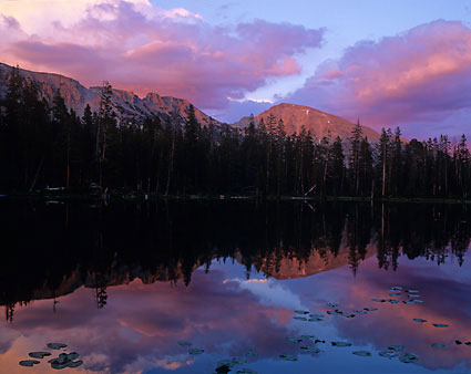 Sunset Mt. Agassiz Bud Lake lily pads Uinta Mountains photography Mirror Lake Highway Utah High Uintas Wilderness photographer David Whitten