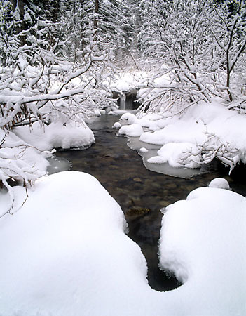 Big Cottonwood Creek Winter Wasatch Mountains Utah David Whitten Photo