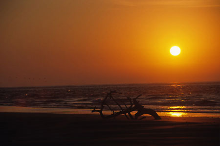 Playa Altata Gulf of California Mexico